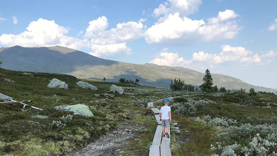 Fotograf: Jenny Lindman Komstedt Fjällvandring längs Jämtlandstriangeln.