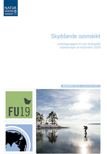 Omslag publikation.