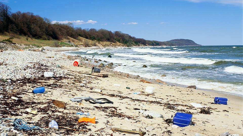 Fotograf: Dick Clevestam
Bildbyrå: Johnér Nedskräpad strand. Österlen, Skåne, Sverige