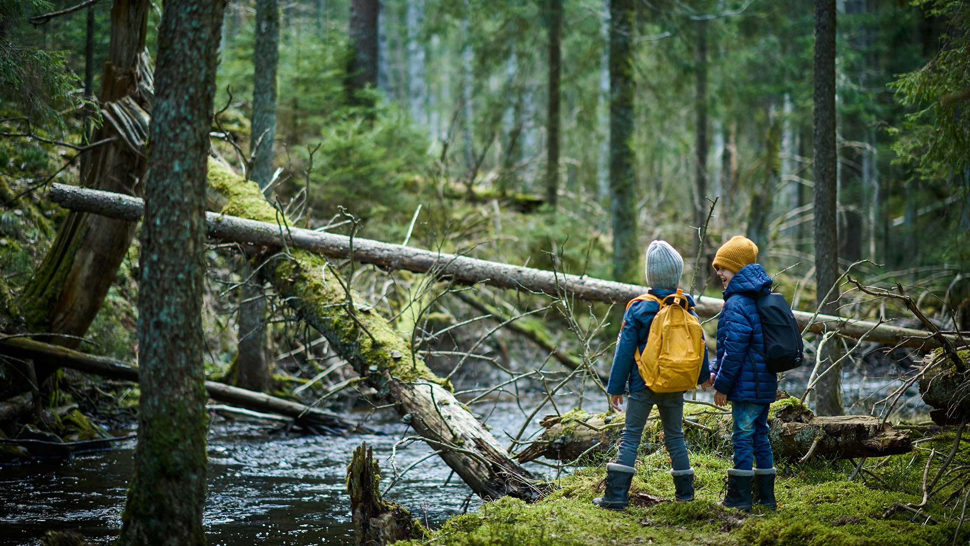 Pojkar på äventyr i skog med fallna träd och bäck. Risvedens naturreservat, Västergötland