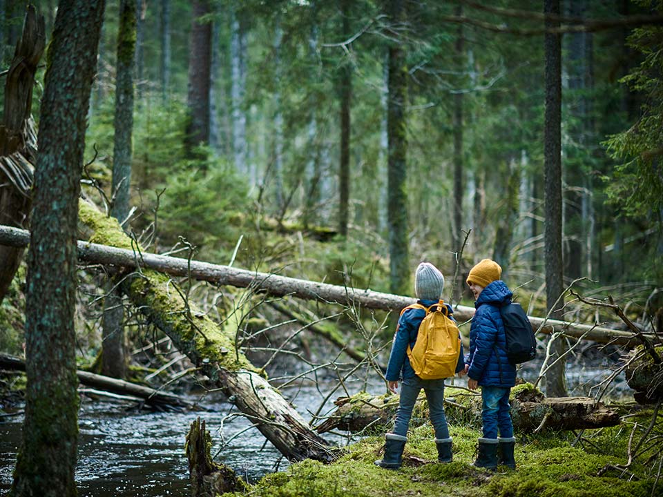 Två barn i skogen