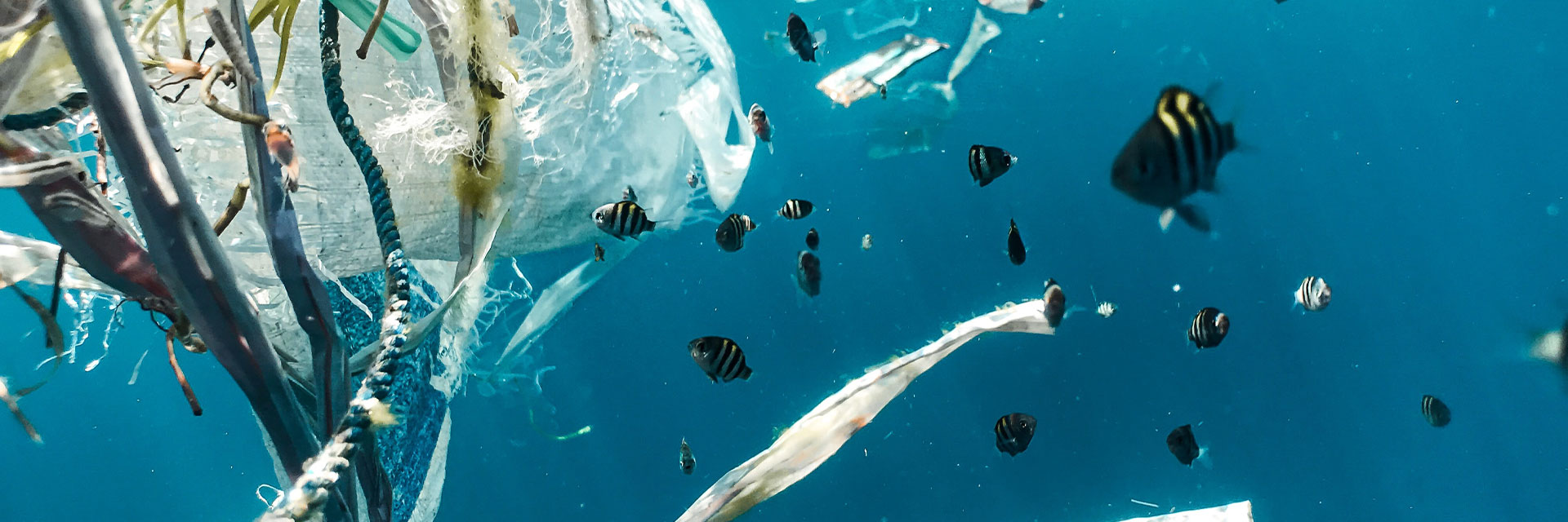 Plastic pollution in the ocean.