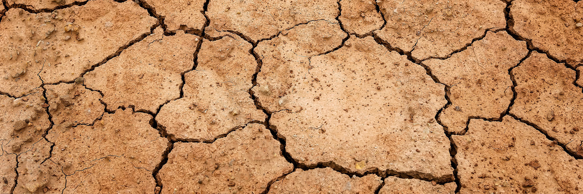 Photographer: Peter H
Agency: Pixabay Dried earth with cracks.