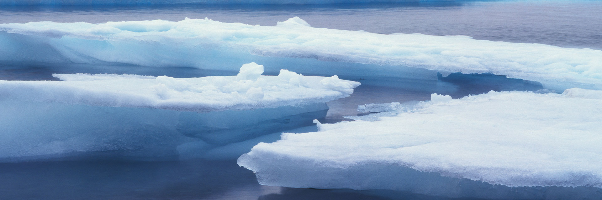 Photographer: Jan Töve
Agency: Johnér Melting ice floes, Arctic.