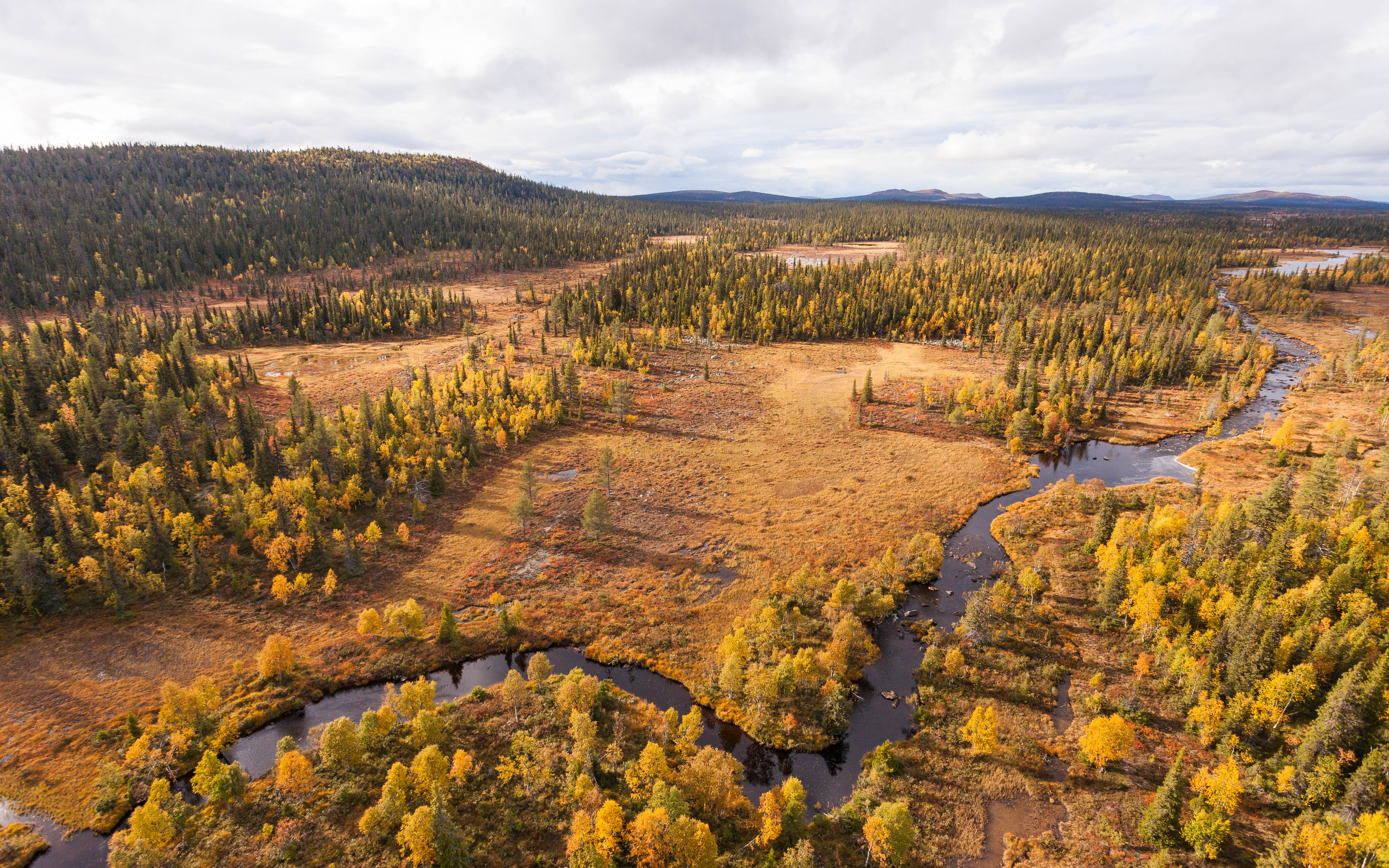 Fotograf: Frédéric Forsmark, Länsstyrelsen Norrbotten Vy över Njallaberget i Norrbottens län