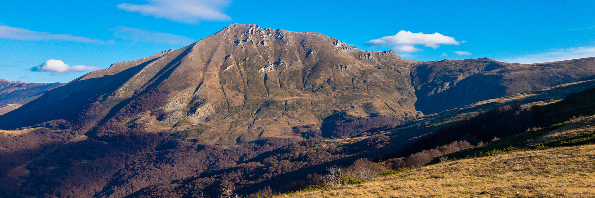 Fotograf: Besart Ademi
Bildbyrå: Unsplash Brown and green mountains,"Kodra me rrasa", Sharr mountains, Kosovo.