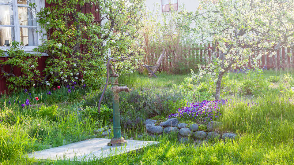 Fotograf: Lars-Olof Johansson
Bildbyrå: Johnér En trädgård med vattenpump och blommor