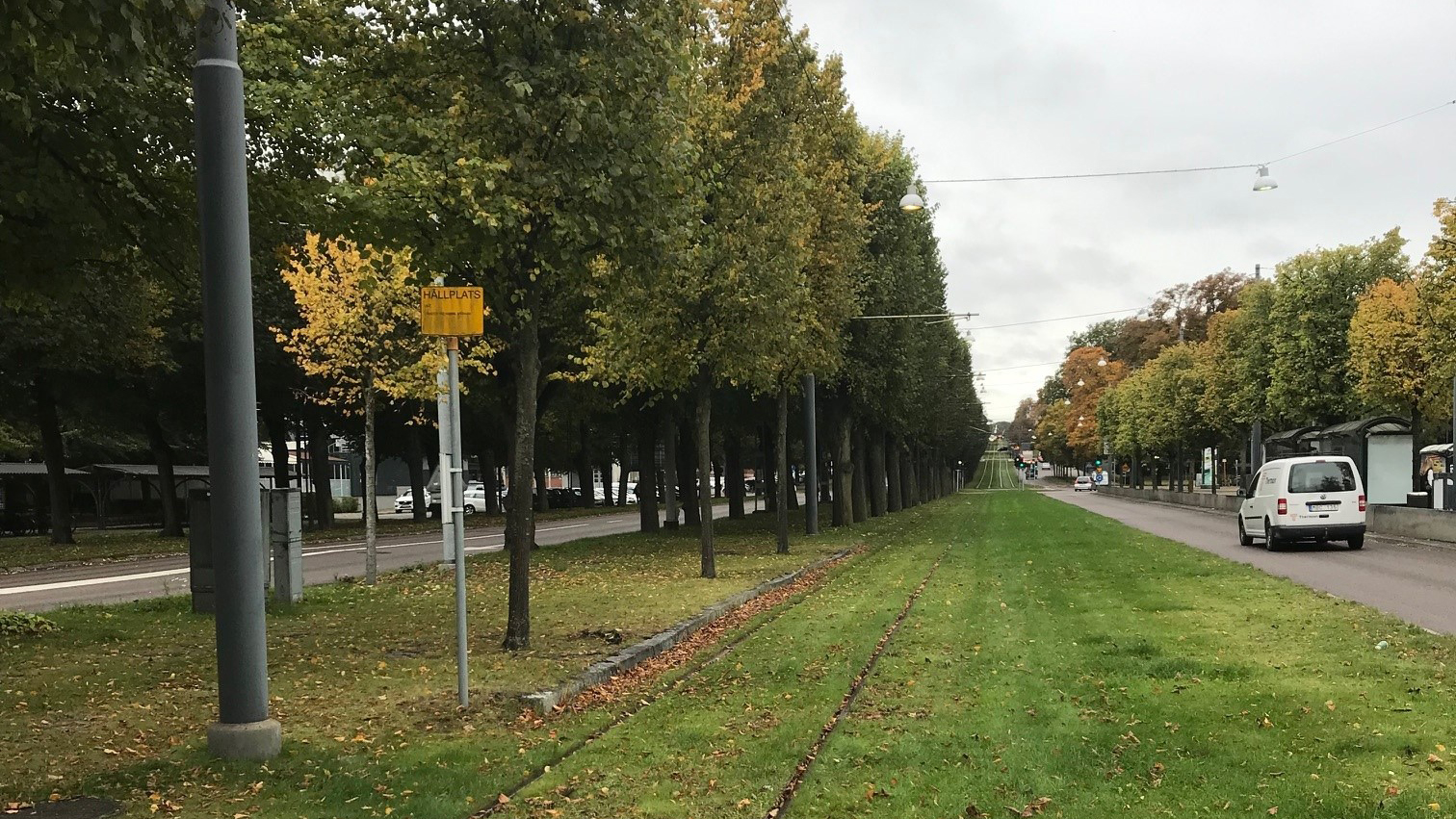 Fotograf: Naturvårdsverket Gräsmatta med järnvägsräls