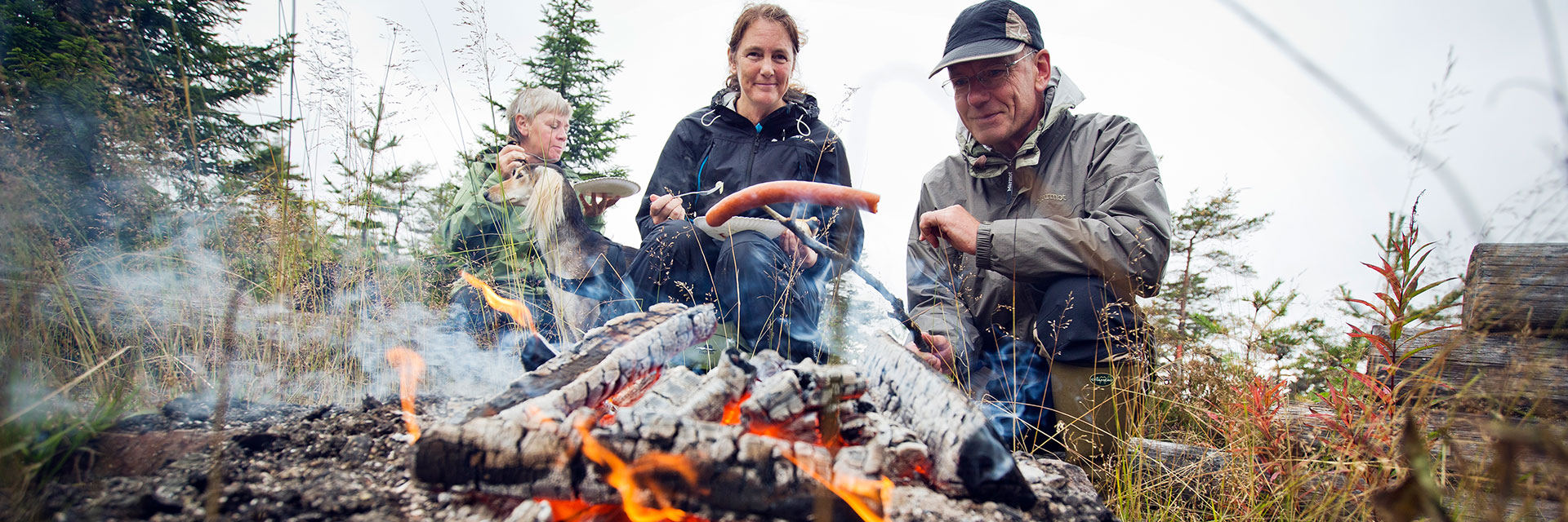 Två personer grillar korv på pinnar över en brasa i skogen medan en annan person äter i bakgrunden.
