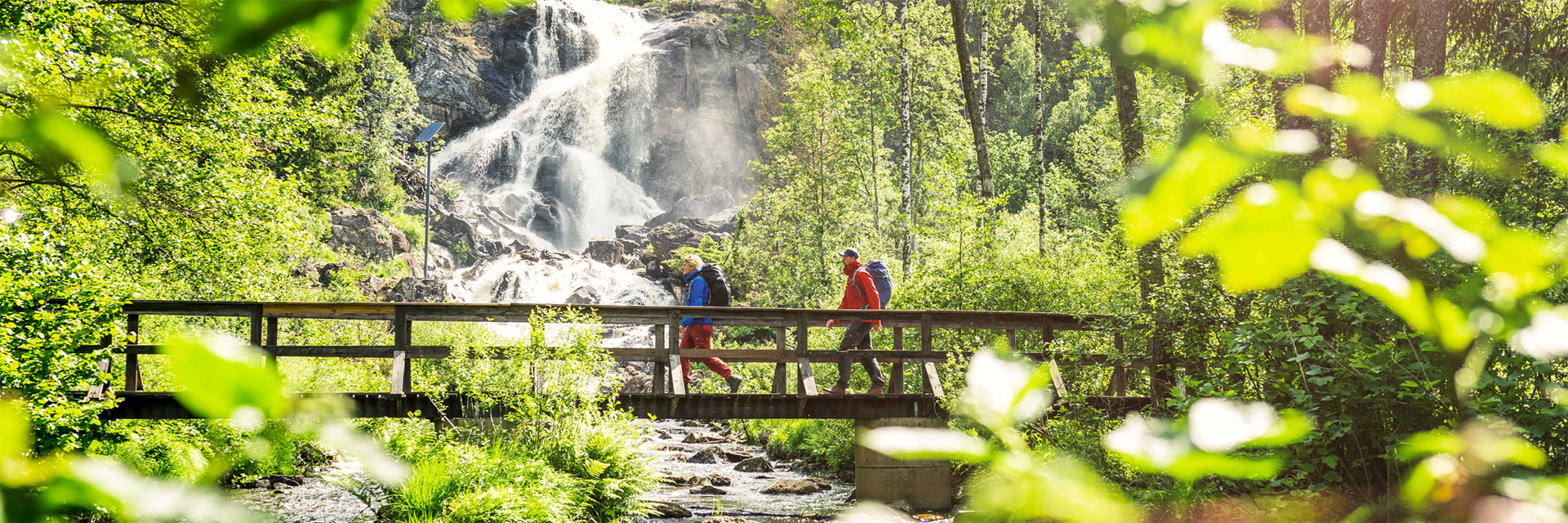 Två personer går på en bro framför ett vattenfall i en skog.