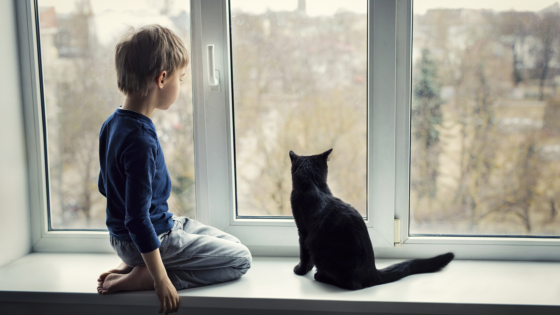 Barnet och svart katten tittar ut genom fönstret.