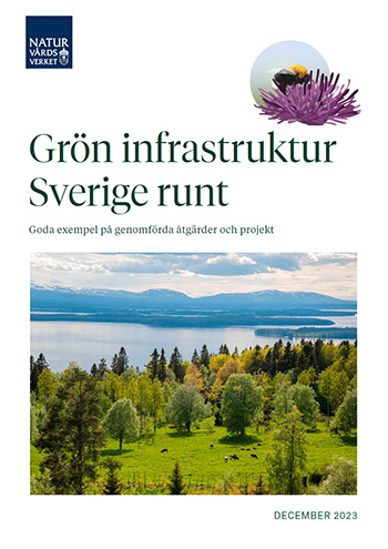 Omslagets framsida.