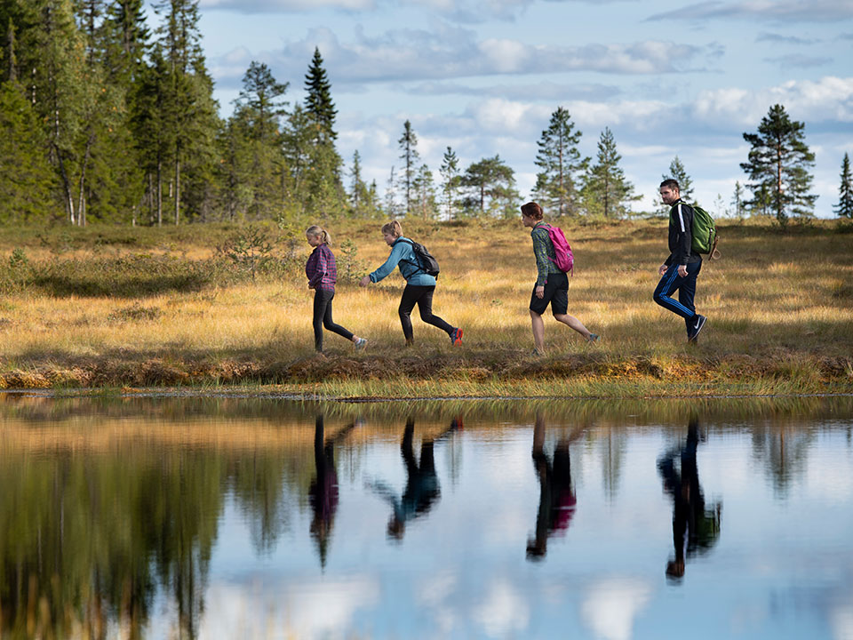 Fyra personer vandrar i ett myrlandskap.