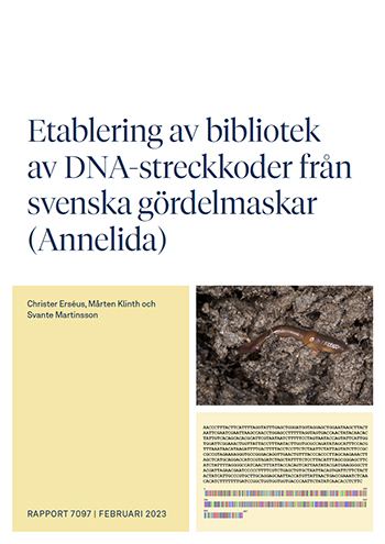 Rapportens framsida.