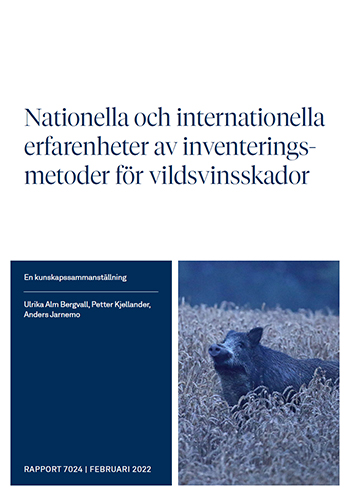 Omslag publikation.