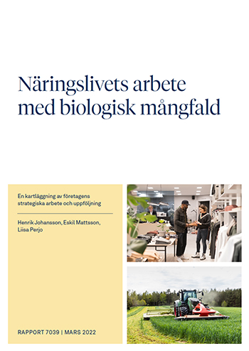 Omslag publikation.