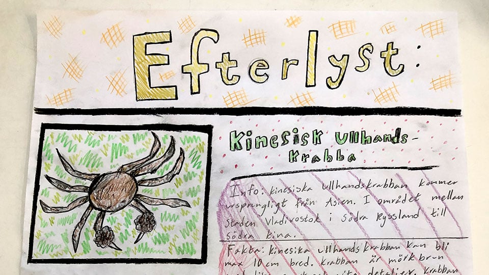 Tecknad poster av efterlyst kinesisk ullhandskrabba.
