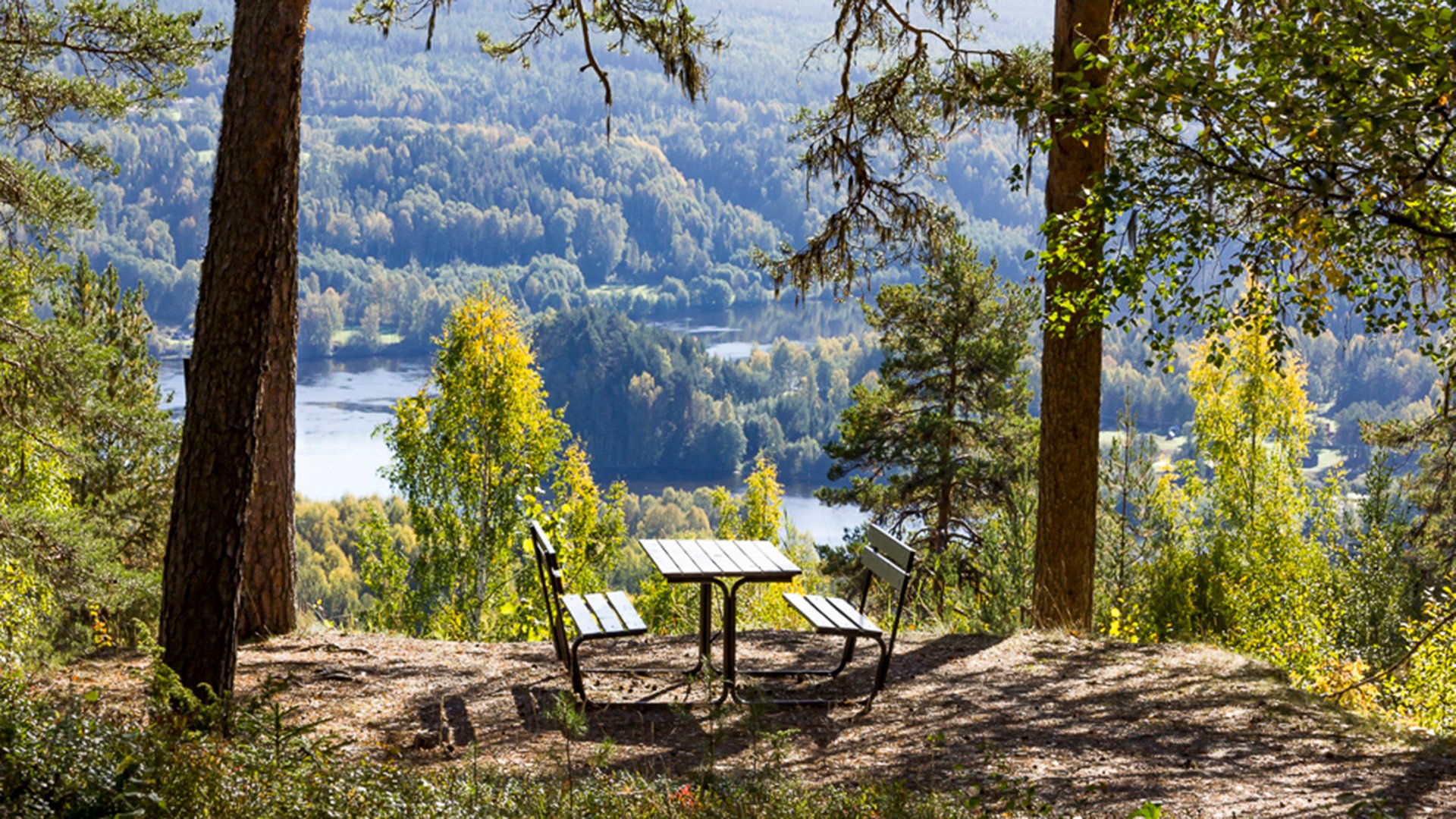 Fotograf: Fredrik Modin. Rastplats med bänkar och bord, utsikt över skog och vatten.