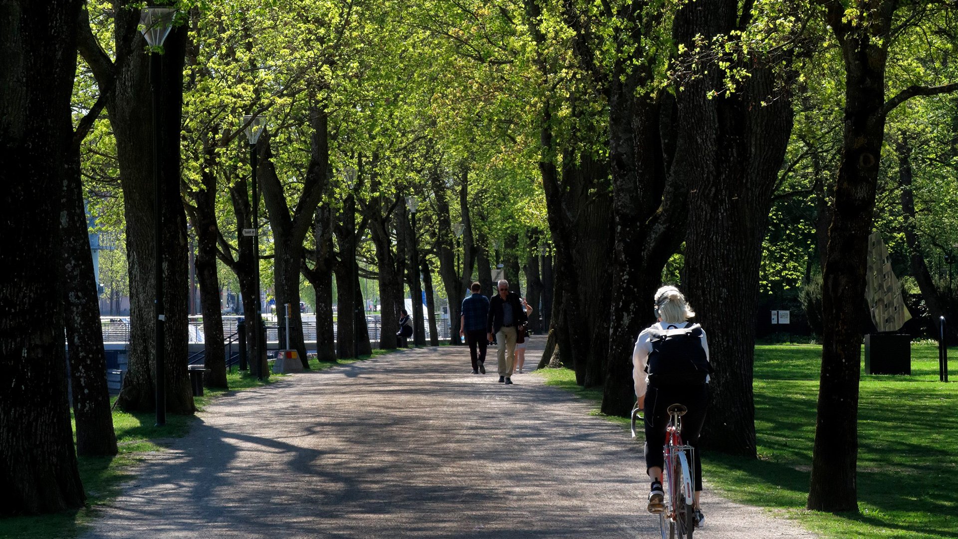 Cyklist i park
