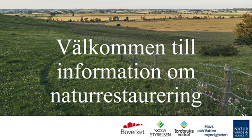 ppt-naturrestaurering.png