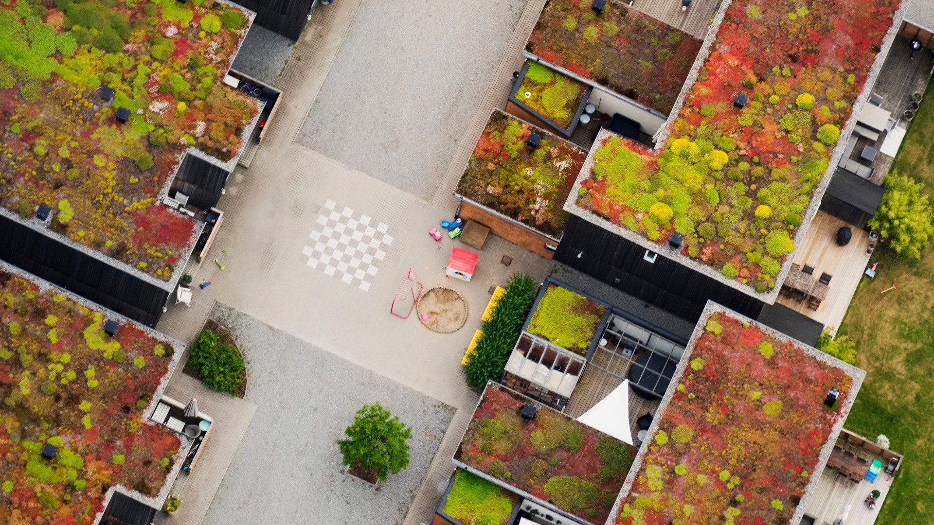 Moderna hus med gräsbelagda tak, Ekerö, Stockholm