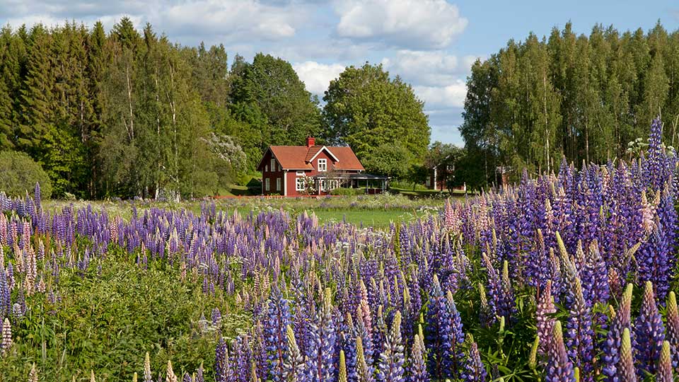 sdlkF0zJ5GNmqI-nh-Anders-Good-TT-RF-960x540.jpg
