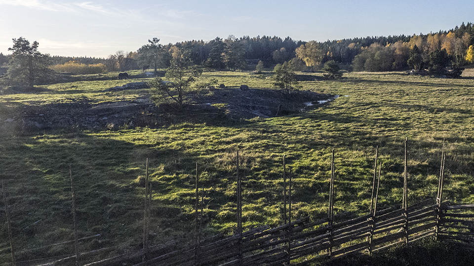 Fotograf: Naturvårdsverket. Betesmark/utmark, Tyresta.