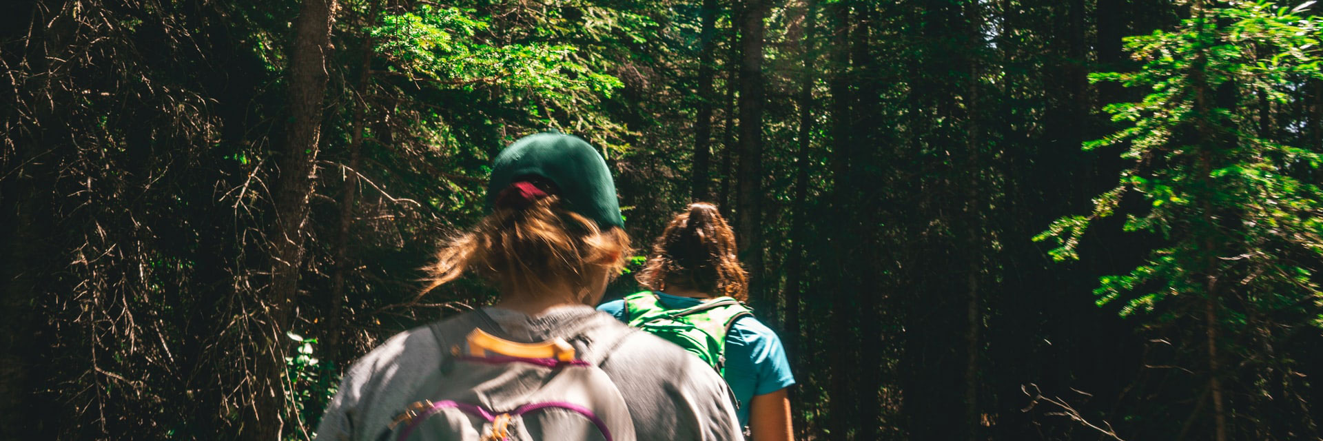 Fotograf: Ryan Gukert Två personer på vandring i skogen