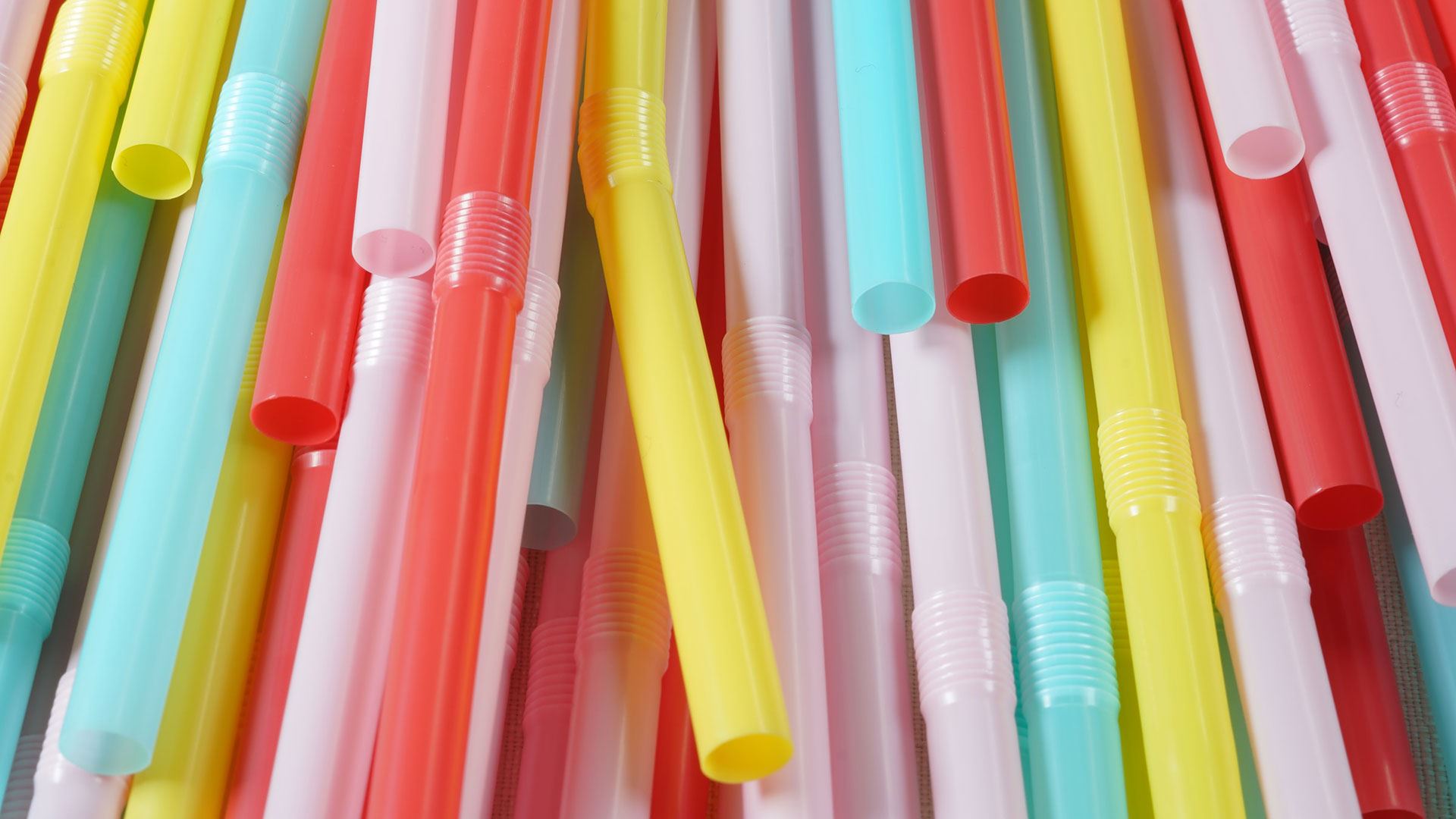Individual Plastic Single-use plastic products and other disposable products