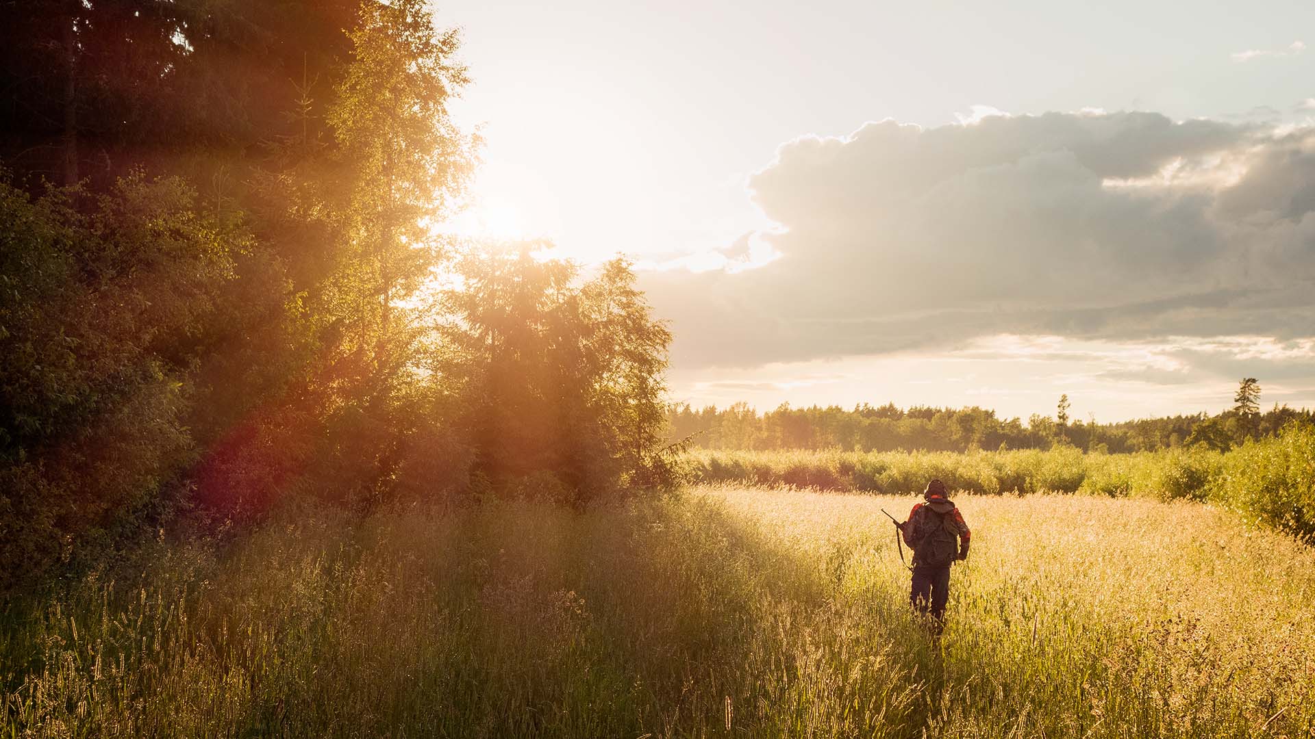 Fotograf: Hans Berggren
Bildbyrå: Johnér En jägare på ett fält i solsken