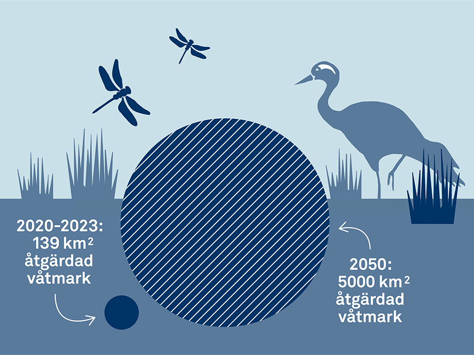 Illustration infografik