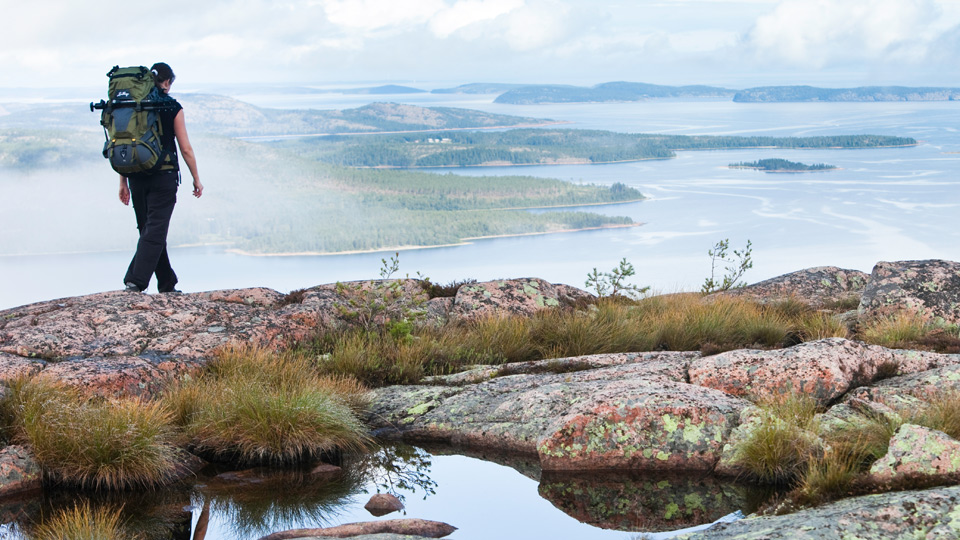 Fotograf: Michael Engman/Engmanbild skuleskogen-960x540.jpg