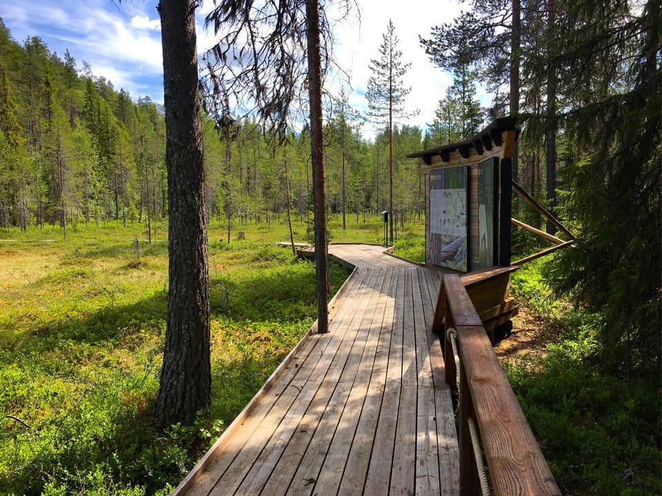 Fotograf: Emma Johansson, Länsstyrelsen Träspång ute i naturen