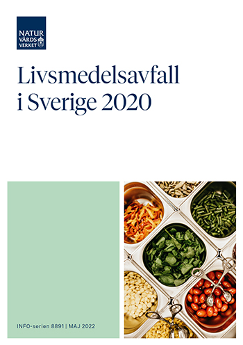 Omslag publikation.