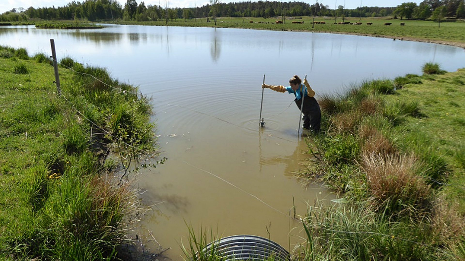 Fotograf: Michael Peacock Sedimentprovtagning av en person i en mindre sjö.