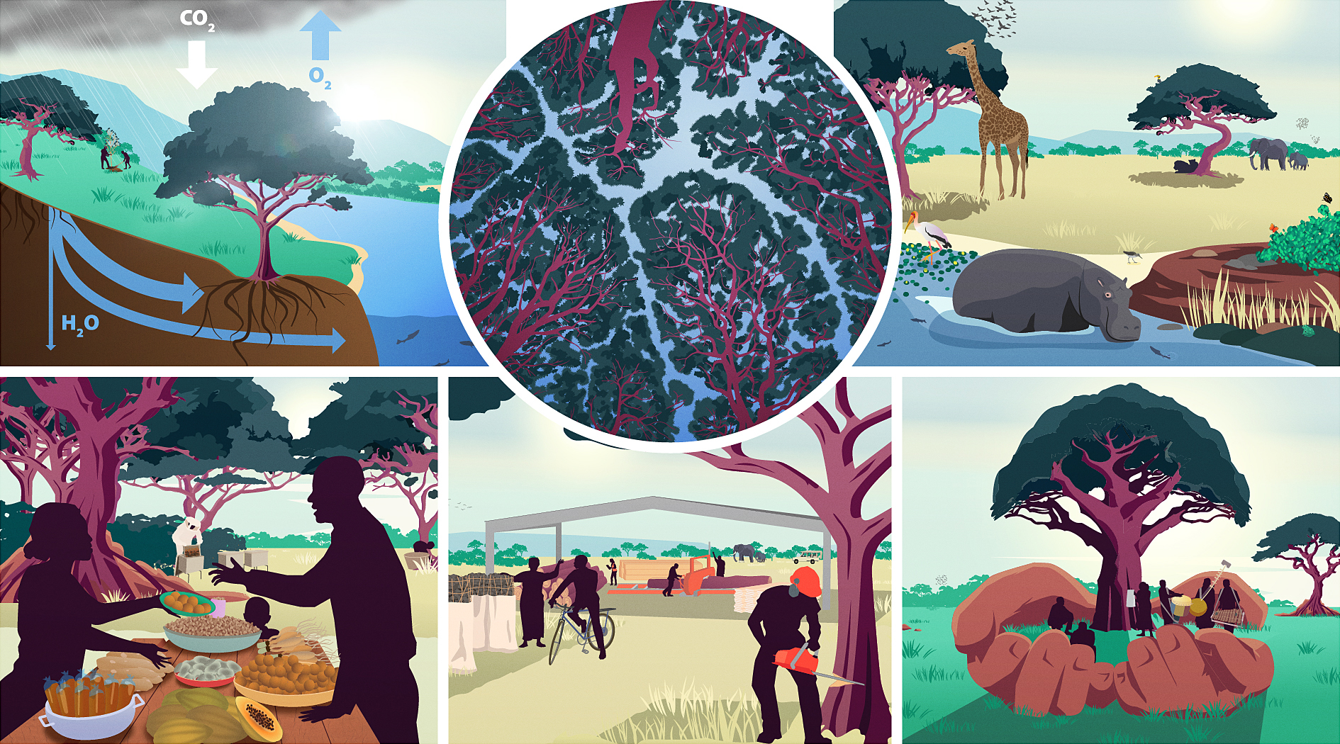 Illustrator: Joakim Agervald Collage of six illustrations with trees, animals and people.