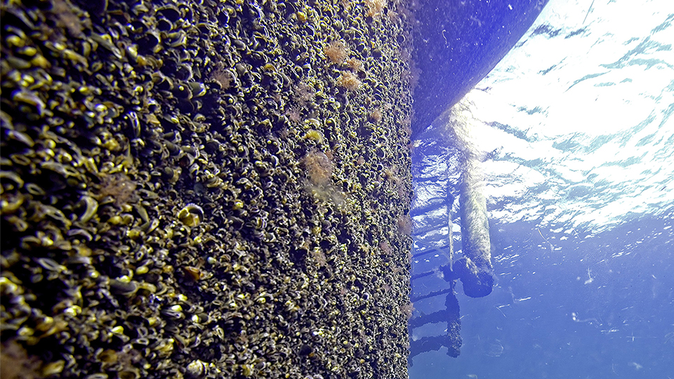 Fotograf: Michael Palmgren. Vindkraftsverk under vattenytan.