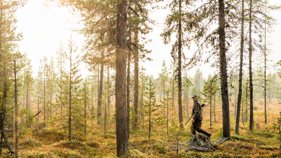 En jägare går i en skog.