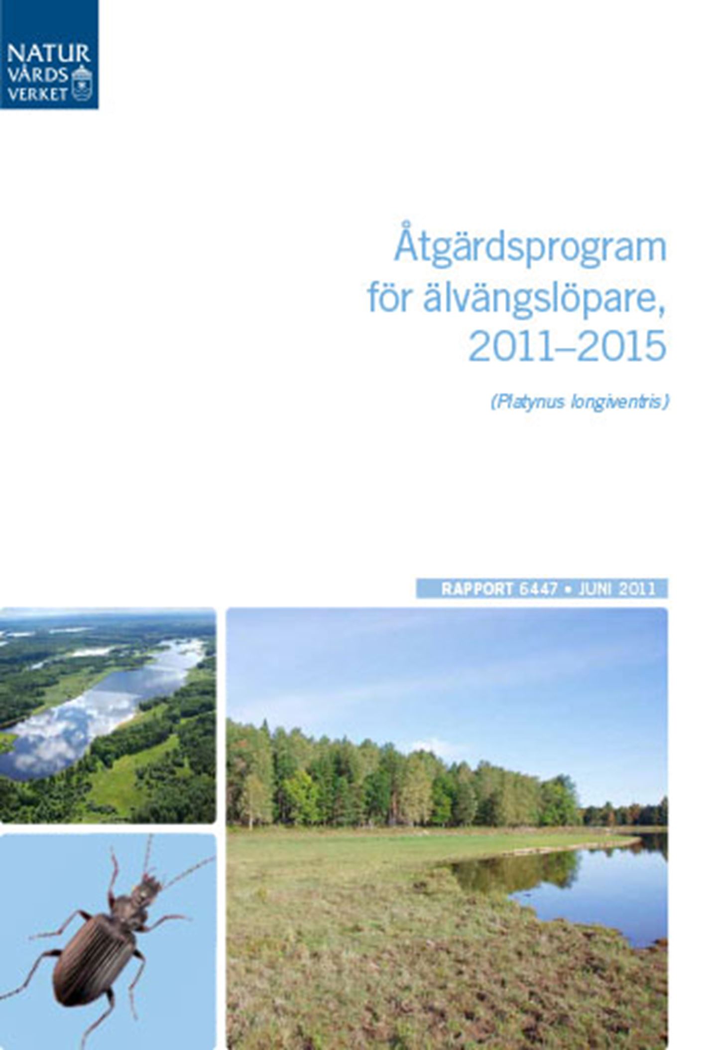 Åtgärdsprogram för Älvängslöpare