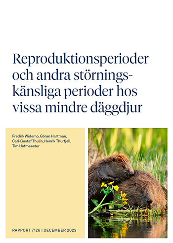 Omslagsbild på rapport.