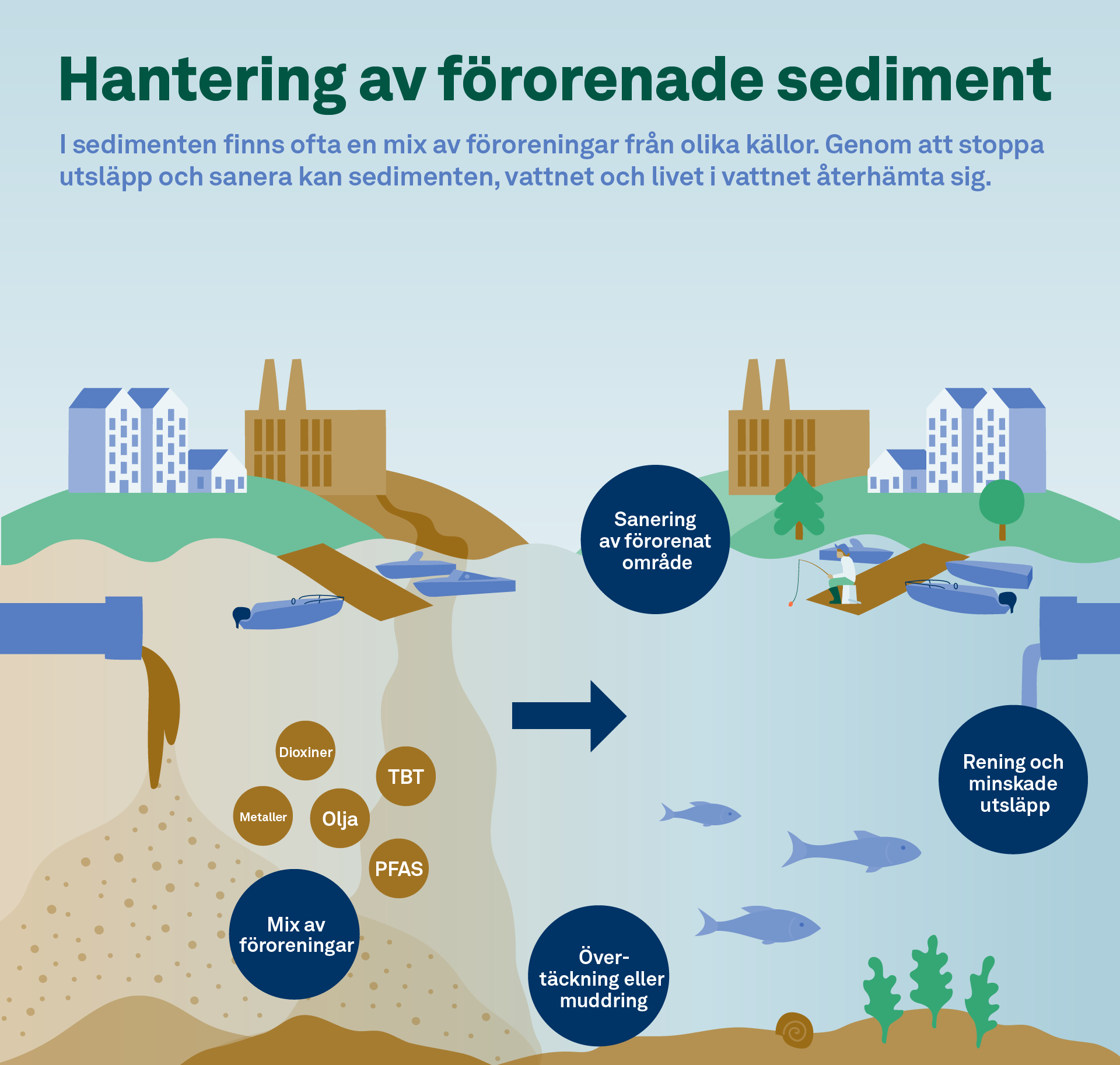 Illustratör: Naturvårdsverket infografik_sediment_PNG.png