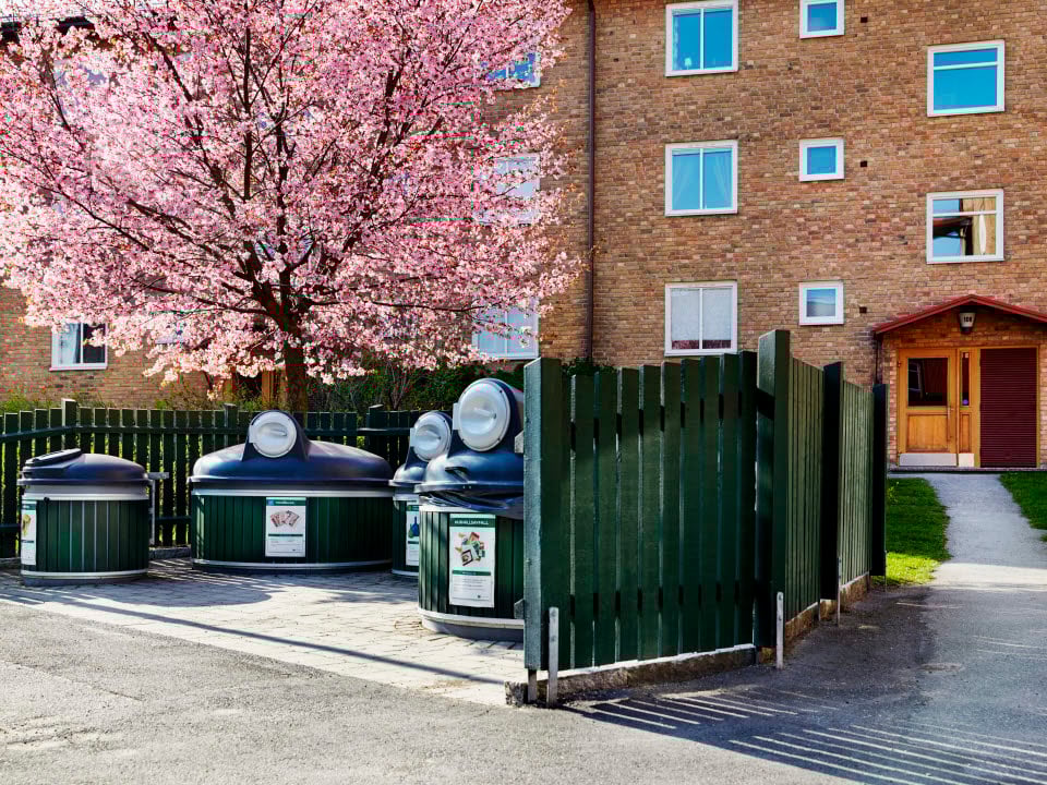 Plats för sopsortering av hushållssopor. Ett stort blommande körsbärsträd syns i bakgrunden, Stockholm
