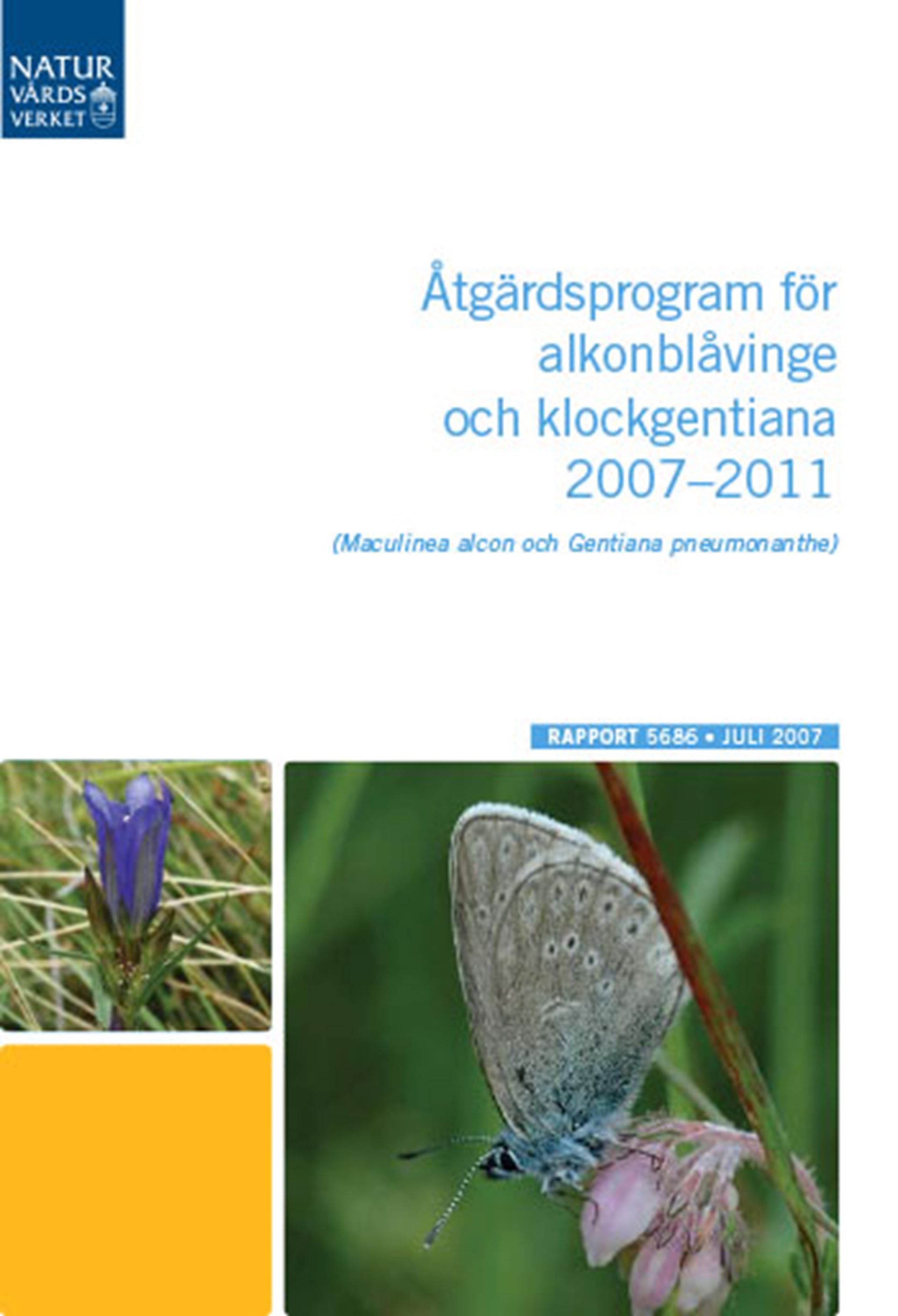 Åtgärdsprogram för alkonblåvinge och klockgentiana