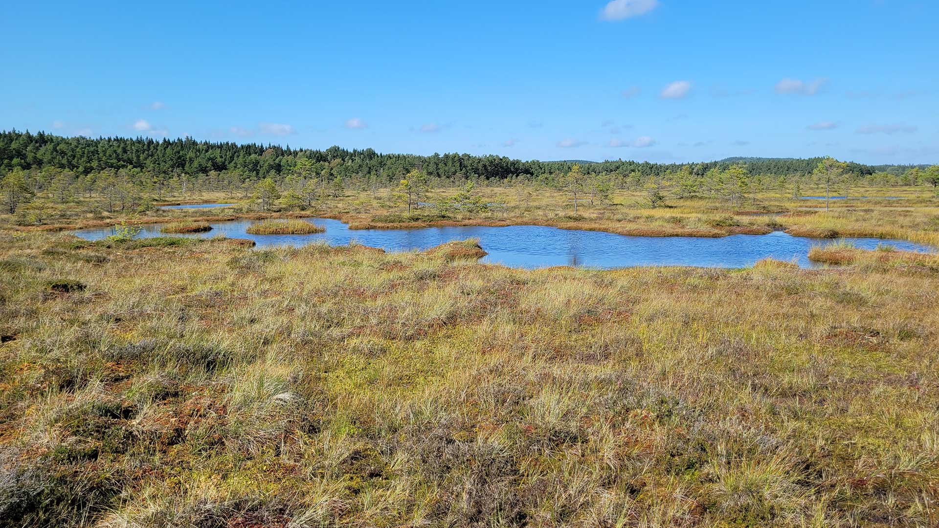 Högmosse, Boforsmossen