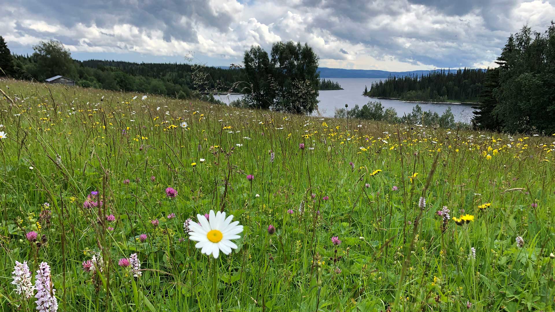 Gräsmark, Kallsjön