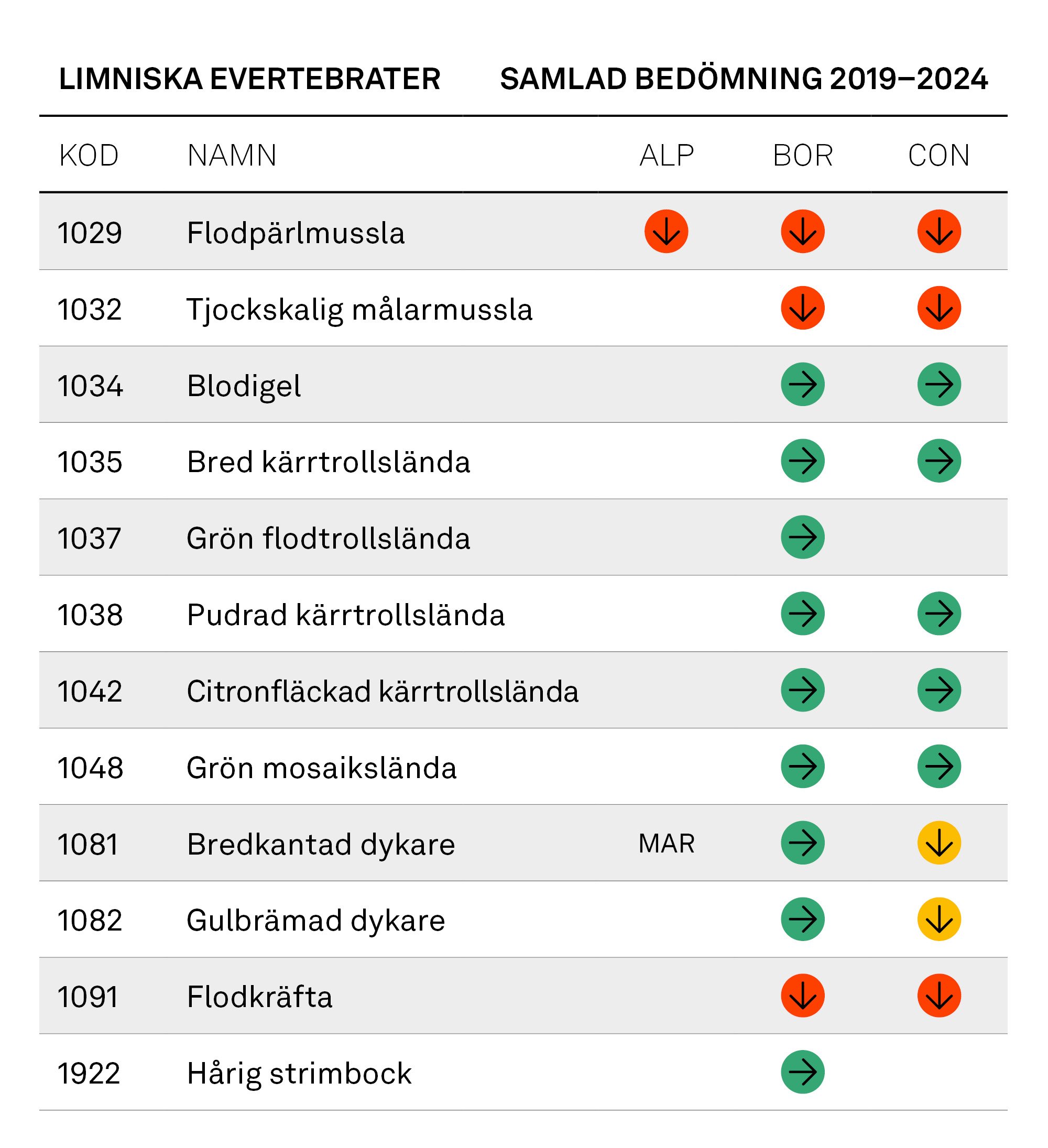 Tabell: Limniska evertebrater, samlad bedömning 2019–2024