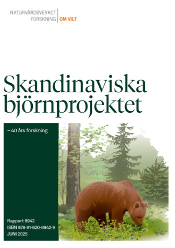 Illustration av en björn i skogen.