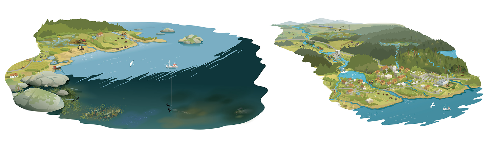 Illustratör: Tobias Flygar/Studio Flygar marin-limninsk-naturrestaurering-utanbubblor-webb-sammansatt-1920 kopiera.png