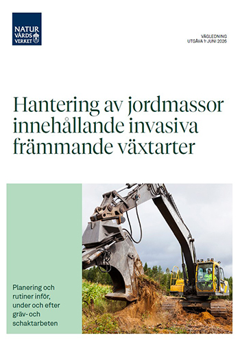 Framsidan, grävmaskin i arbete med jordmassor