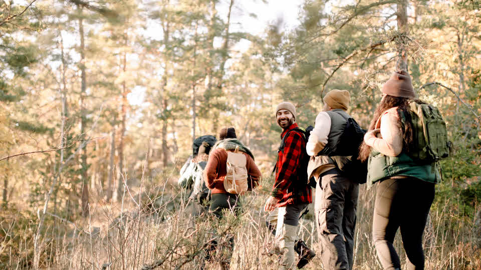 Fotograf: Maskot
Bildbyrå: Johner Flera personer led vandrar i skogen